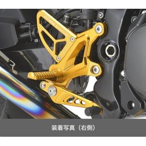 アールズギア Kawasaki Z900RS ライディングステップ（オレンジゴールド） AC01-0300-OG｜partsonline