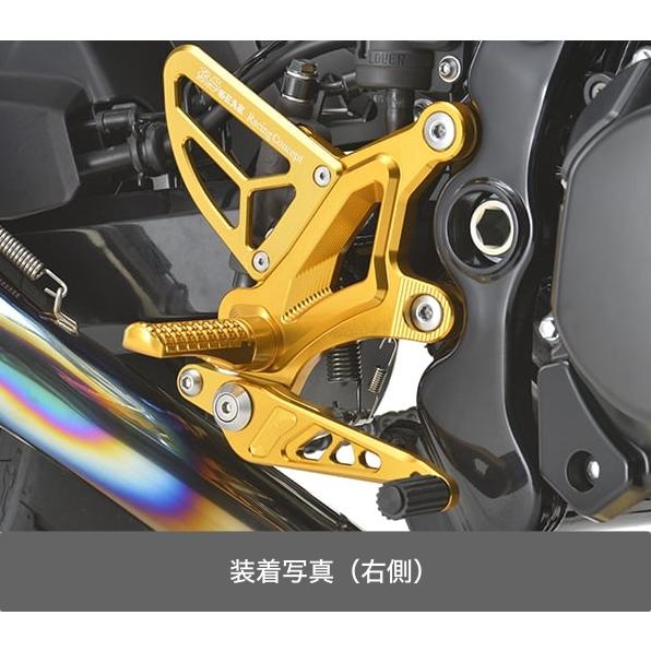 アールズギア Kawasaki Z900RS ライディングステップ（オレンジゴールド） AC01-0...