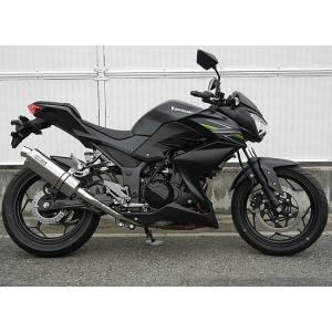 WR'S Kawasaki Ninja250/Z250 リアエキゾースト（ステンレス/オーバルチタン） OV4250JM｜partsonline