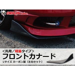 AMSECHS アムゼックス セレクション カナード（カラー：ピアノブラック