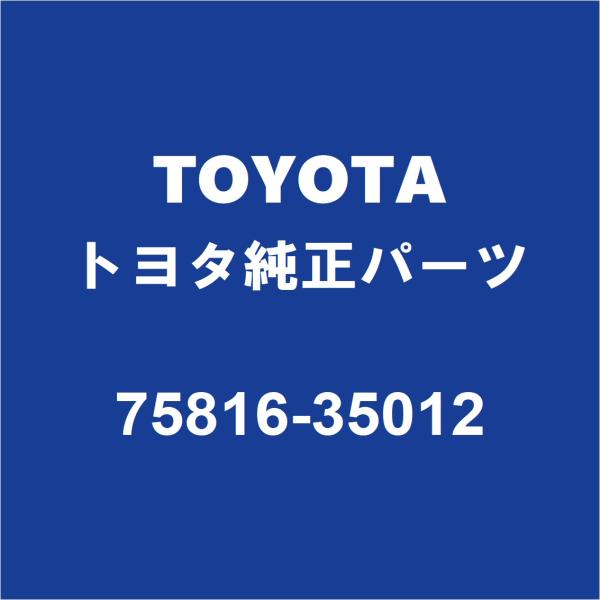TOYOTAトヨタ純正 FJクルーザー バックドアORトランクモール 75816-35012