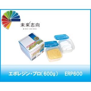 ビートソニック  ERP600  エポレジンプロ(580g)  Beat-Sonic｜partsshop-advance