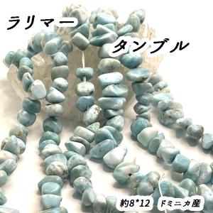 シェル 天然石 さざれ 楽天市場】さざれ 100g シェル 貝 天然石 パワーストーン さざれ石 穴