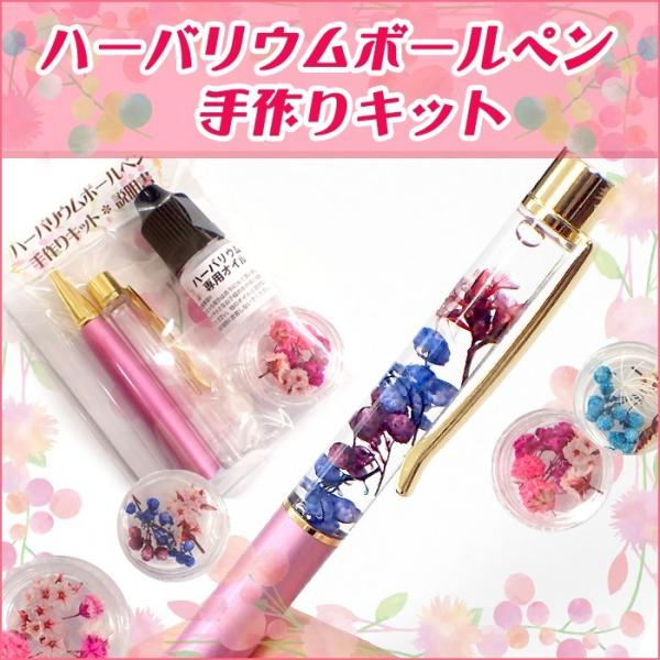 メール便送料無料 ハーバリウム ボールペン 作成キット (09) ハーバリウムボールペン プレゼント...