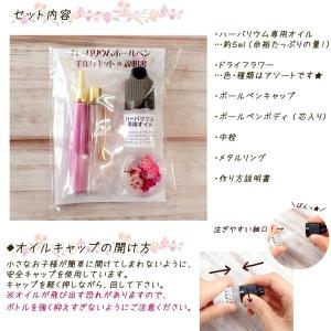 メール便送料無料 ハーバリウム ボールペン 作...の詳細画像1