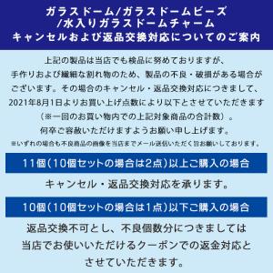 ガラスドーム (1) 10個売り 選べる6サイ...の詳細画像2