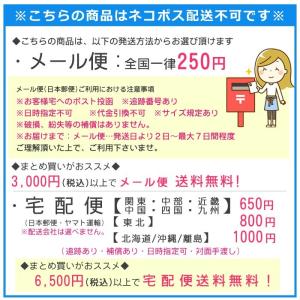 ガラスドーム (1) 10個売り 選べる6サイ...の詳細画像4