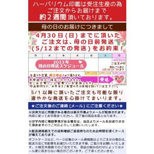 印鑑付きボールペン (19) Pentas 本...の詳細画像1