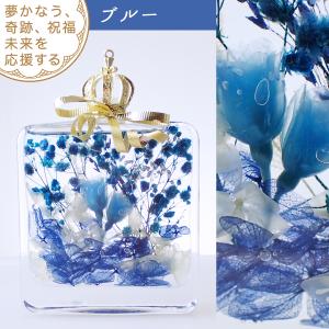 ハーバリウム (01) 完成品 Picture...の詳細画像3
