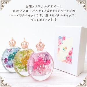 ※ギフトボックスなし※ ハーバリウム キット ...の詳細画像1