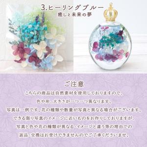 ※ギフトボックスなし※ ハーバリウム キット ...の詳細画像4