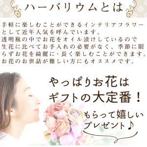 ハーバリウム (05) 完成品 オーバル 天然...の詳細画像2