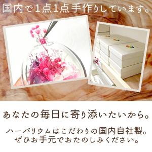 ハーバリウム (05) 完成品 オーバル 天然...の詳細画像5