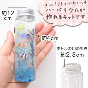 ハーバリウム 夏休み 工作キット 海の生き物 ...の詳細画像1