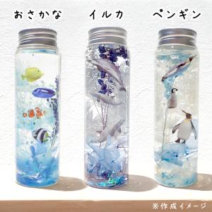 ハーバリウム 夏休み 工作キット 海の生き物 ...の詳細画像4