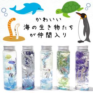 ハーバリウム 夏休み 工作キット 海の生き物 ...の詳細画像2