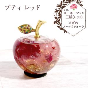 送料無料 母の日 プレゼント カーネーション ...の詳細画像5