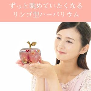 ポイント5倍★ 送料無料 母の日 プレゼント ...の詳細画像2