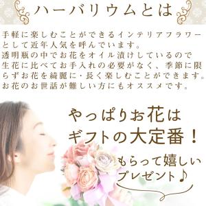 ポイント5倍★ 送料無料 母の日 プレゼント ...の詳細画像4