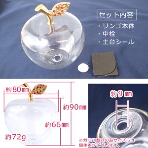 (予約販売) ガラスのリンゴ(空) ハーバリウ...の詳細画像1