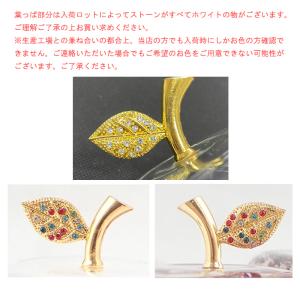 (予約販売) ガラスのリンゴ(空) ハーバリウ...の詳細画像5