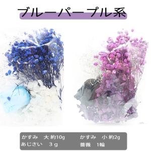 デコパーツ 107. ドライフラワー パック ...の詳細画像2