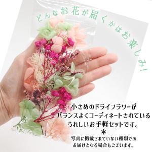 112. ドライフラワー アソート ハーバリウ...の詳細画像1