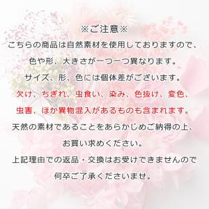 112. ドライフラワー アソート ハーバリウ...の詳細画像3