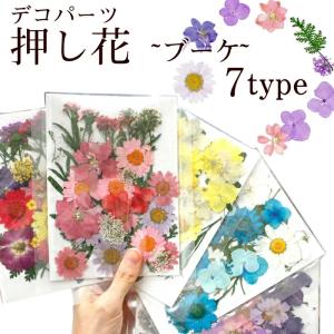 押し花 (33) ブーケ ドライフラワー 花材 押し花 レジン プリザーブドフラワー ハーバリウム ハンドメイド クラフトDIY 国内発送