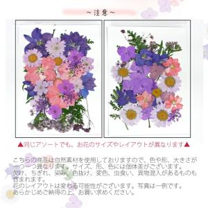 押し花 (33) ブーケ ドライフラワー 花材...の詳細画像3