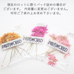 パーツ 71. 押し花 横向きレースフラワー ...の詳細画像1