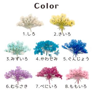 パーツ 71. 押し花 横向きレースフラワー ...の詳細画像2