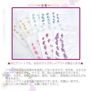 パーツ 71. 押し花 横向きレースフラワー ...の詳細画像4