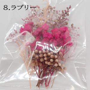 ドライフラワー (77) 小さめアソート 7色...の詳細画像4