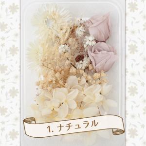 ドライフラワー (78) アソートパック あじ...の詳細画像1