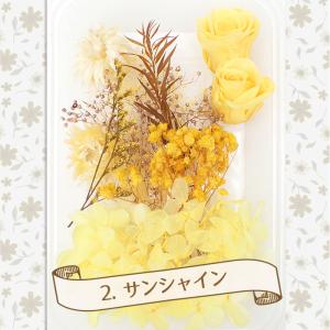 ドライフラワー (78) アソートパック あじ...の詳細画像2