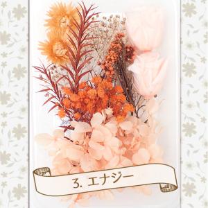 ドライフラワー (78) アソートパック あじ...の詳細画像3