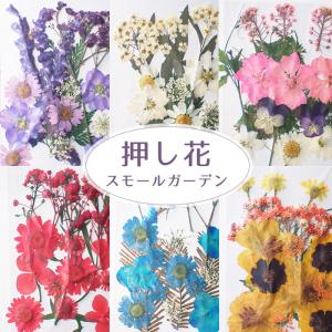 ドライフラワー (77) 小さめアソート 7色 花材 ブーケ レジン