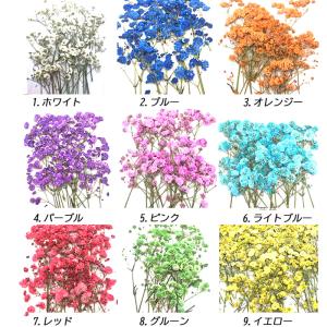 押し花 (91) ドライフラワー かすみ草 花...の詳細画像2