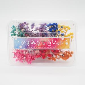 ポイント5倍★ ドライフラワー (94) かす...の詳細画像2