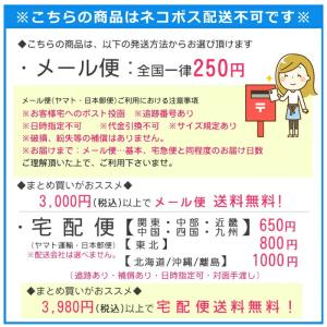 ポイント5倍★ ドライフラワー (94) かす...の詳細画像5
