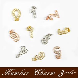 ポイント5倍☆ ナンバーチャーム ビッグ シルバー 約22×10mm ナンバー