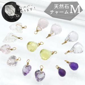 カラフル シェル さざれ石 穴あり 10g 天然石 貝 マリン パーツ