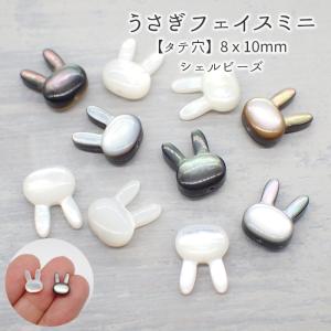 カラフル シェル さざれ石 穴あり 10g 天然石 貝 マリン パーツ