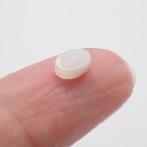シェルビーズ (85) マザーオブパール オー...の詳細画像4