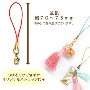 ポイント5倍★ カニカン付ストラップパーツ (...の詳細画像2