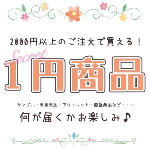 2000円以上のご注文で買える１円商品何が届くかお楽しみ♪おまけ