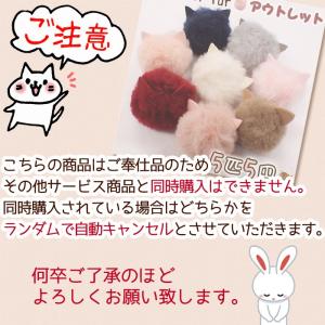 2000円以上のご注文で買える1円商品何が届く...の詳細画像2