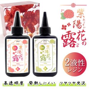 2液性 レジン液 500g おまけ付き 大容量 エポキシ クリア 1:1 業務用