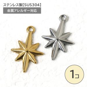 ステンレス製 星チャーム 六芒星 SUS304 約21mm ゴールド シルバー アクセサリーパーツ ハンドメイド用